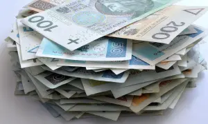 Góra pieniędzy, która może być odpowiedzią na pytanie, kto stoi za finansowaniem najbardziej kontrowersyjnych polskich filmów akcji.