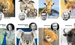 Najdziwniejsze imiona jakie polscy celebryci nadali swoim zwierzętom: lew, sowa, żyrafa, lis, paw, koala, miś, żubr.