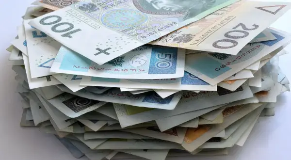 Góra pieniędzy, która może być odpowiedzią na pytanie, kto stoi za finansowaniem najbardziej kontrowersyjnych polskich filmów akcji.