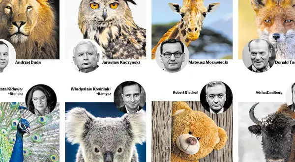Najdziwniejsze imiona jakie polscy celebryci nadali swoim zwierzętom: lew, sowa, żyrafa, lis, paw, koala, miś, żubr.