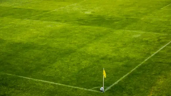 Najpopularniejsze dyscypliny sportowe na świecie – które przyciągają najwięcej kibiców?