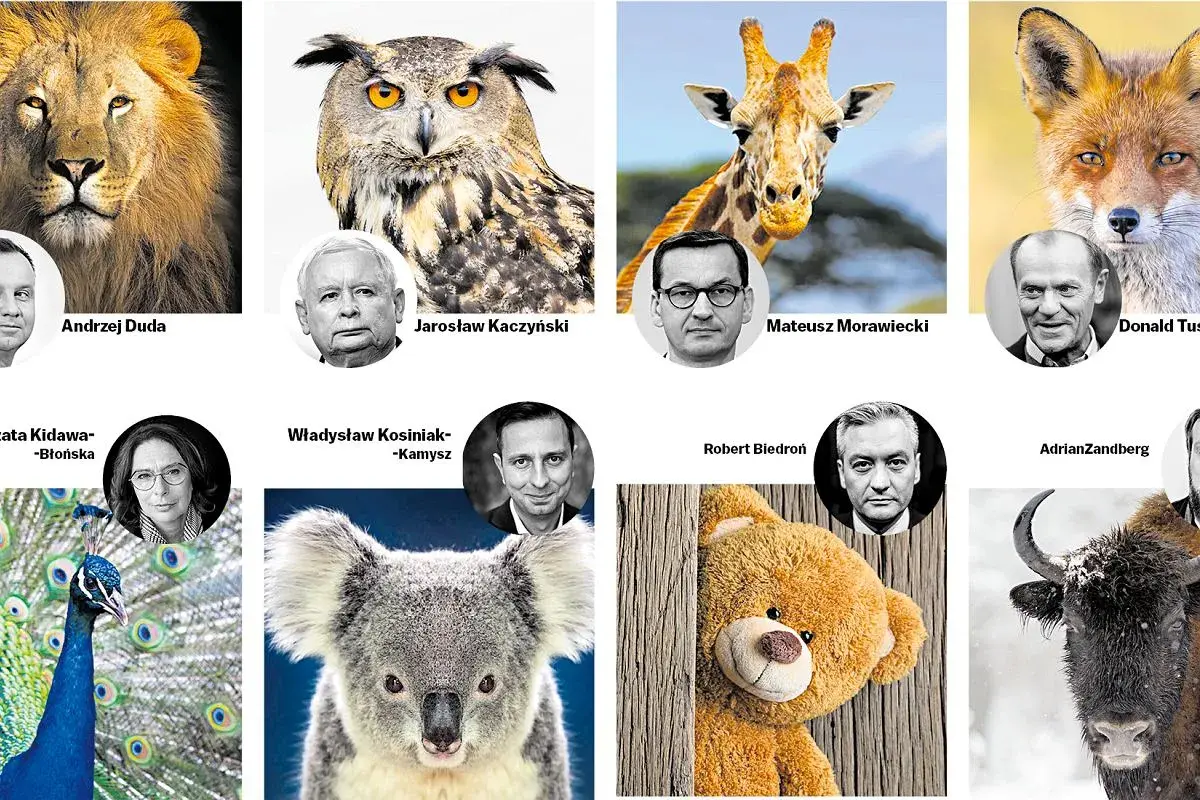 Najdziwniejsze imiona jakie polscy celebryci nadali swoim zwierzętom: lew, sowa, żyrafa, lis, paw, koala, miś, żubr.